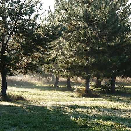 Bed and Breakfast Chateau De Grenier Saint-Leger  Екстер'єр фото