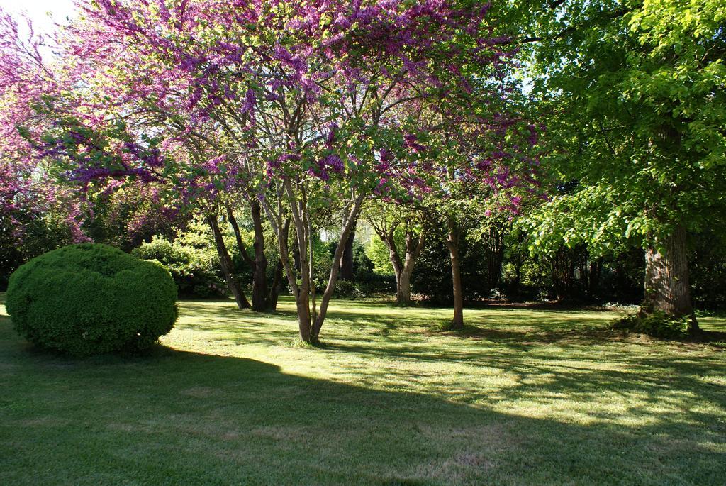 Bed and Breakfast Chateau De Grenier Saint-Leger  Екстер'єр фото